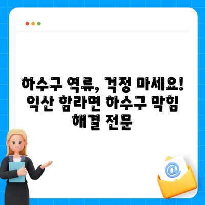 전라북도 익산시 함라면 하수구막힘 | 가격 | 비용 | 기름제거 | 싱크대 | 변기 | 세면대 | 역류 | 냄새차단 | 2024 후기