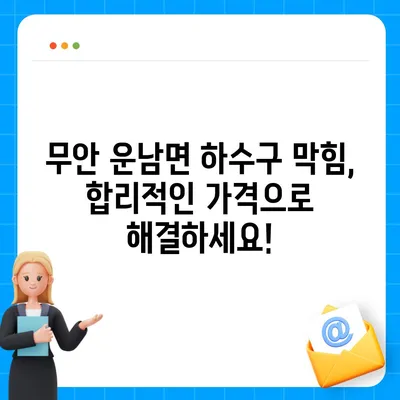 전라남도 무안군 운남면 하수구막힘 | 가격 | 비용 | 기름제거 | 싱크대 | 변기 | 세면대 | 역류 | 냄새차단 | 2024 후기