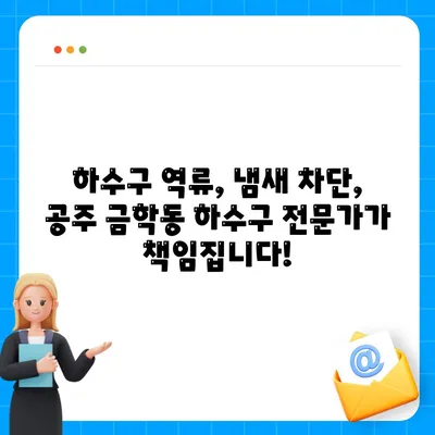 충청남도 공주시 금학동 하수구막힘 | 가격 | 비용 | 기름제거 | 싱크대 | 변기 | 세면대 | 역류 | 냄새차단 | 2024 후기