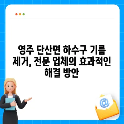 경상북도 영주시 단산면 하수구막힘 | 가격 | 비용 | 기름제거 | 싱크대 | 변기 | 세면대 | 역류 | 냄새차단 | 2024 후기