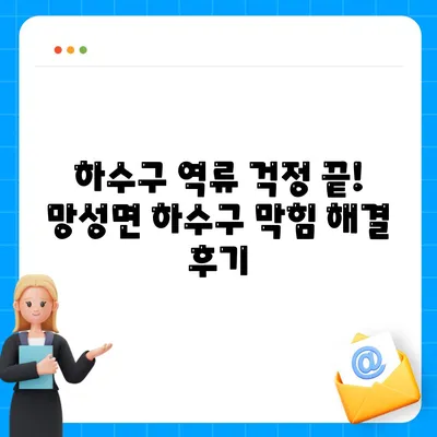 전라북도 익산시 망성면 하수구막힘 | 가격 | 비용 | 기름제거 | 싱크대 | 변기 | 세면대 | 역류 | 냄새차단 | 2024 후기