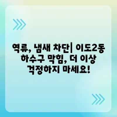 제주도 제주시 이도2동 하수구막힘 | 가격 | 비용 | 기름제거 | 싱크대 | 변기 | 세면대 | 역류 | 냄새차단 | 2024 후기