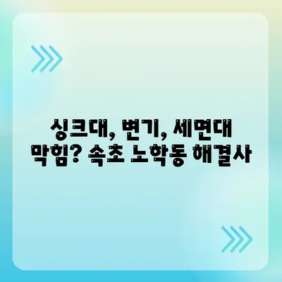 강원도 속초시 노학동 하수구막힘 | 가격 | 비용 | 기름제거 | 싱크대 | 변기 | 세면대 | 역류 | 냄새차단 | 2024 후기