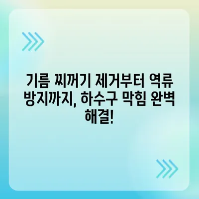 경기도 김포시 대곶면 하수구막힘 | 가격 | 비용 | 기름제거 | 싱크대 | 변기 | 세면대 | 역류 | 냄새차단 | 2024 후기