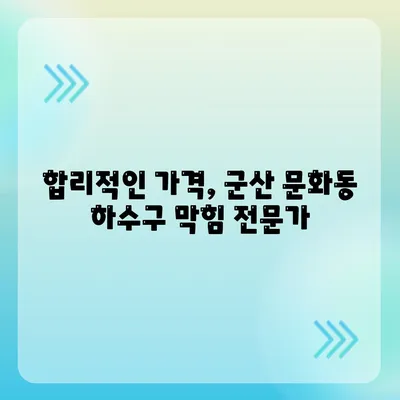 전라북도 군산시 문화동 하수구막힘 | 가격 | 비용 | 기름제거 | 싱크대 | 변기 | 세면대 | 역류 | 냄새차단 | 2024 후기