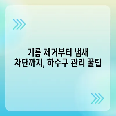 경기도 여주시 금사면 하수구막힘 | 가격 | 비용 | 기름제거 | 싱크대 | 변기 | 세면대 | 역류 | 냄새차단 | 2024 후기