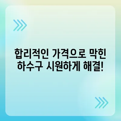 전라남도 진도군 군내면 하수구막힘 | 가격 | 비용 | 기름제거 | 싱크대 | 변기 | 세면대 | 역류 | 냄새차단 | 2024 후기