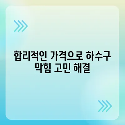 전라남도 진도군 임회면 하수구막힘 | 가격 | 비용 | 기름제거 | 싱크대 | 변기 | 세면대 | 역류 | 냄새차단 | 2024 후기