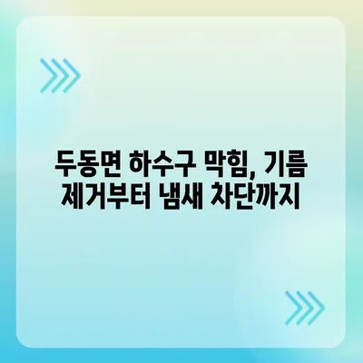 울산시 울주군 두동면 하수구막힘 | 가격 | 비용 | 기름제거 | 싱크대 | 변기 | 세면대 | 역류 | 냄새차단 | 2024 후기