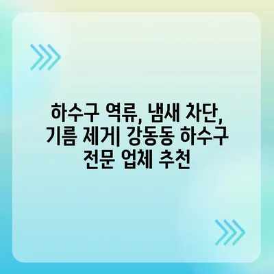 울산시 북구 강동동 하수구막힘 | 가격 | 비용 | 기름제거 | 싱크대 | 변기 | 세면대 | 역류 | 냄새차단 | 2024 후기