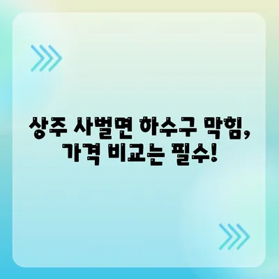 경상북도 상주시 사벌면 하수구막힘 | 가격 | 비용 | 기름제거 | 싱크대 | 변기 | 세면대 | 역류 | 냄새차단 | 2024 후기