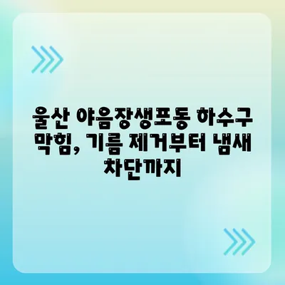 울산시 남구 야음장생포동 하수구막힘 | 가격 | 비용 | 기름제거 | 싱크대 | 변기 | 세면대 | 역류 | 냄새차단 | 2024 후기