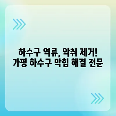 경기도 가평군 가평읍 하수구막힘 | 가격 | 비용 | 기름제거 | 싱크대 | 변기 | 세면대 | 역류 | 냄새차단 | 2024 후기