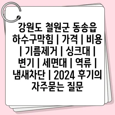 강원도 철원군 동송읍 하수구막힘 | 가격 | 비용 | 기름제거 | 싱크대 | 변기 | 세면대 | 역류 | 냄새차단 | 2024 후기