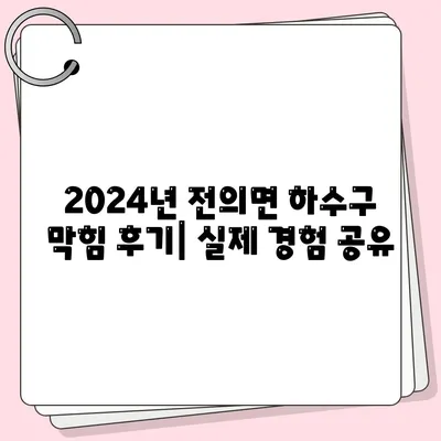 세종시 세종특별자치시 전의면 하수구막힘 | 가격 | 비용 | 기름제거 | 싱크대 | 변기 | 세면대 | 역류 | 냄새차단 | 2024 후기