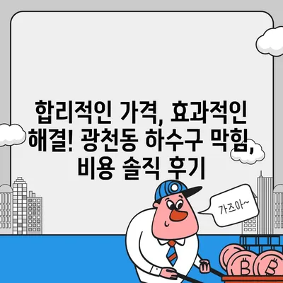 광주시 서구 광천동 하수구막힘 | 가격 | 비용 | 기름제거 | 싱크대 | 변기 | 세면대 | 역류 | 냄새차단 | 2024 후기