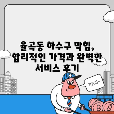 경상북도 김천시 율곡동 하수구막힘 | 가격 | 비용 | 기름제거 | 싱크대 | 변기 | 세면대 | 역류 | 냄새차단 | 2024 후기