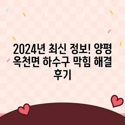 경기도 양평군 옥천면 하수구막힘 | 가격 | 비용 | 기름제거 | 싱크대 | 변기 | 세면대 | 역류 | 냄새차단 | 2024 후기