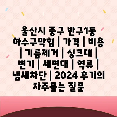 울산시 중구 반구1동 하수구막힘 | 가격 | 비용 | 기름제거 | 싱크대 | 변기 | 세면대 | 역류 | 냄새차단 | 2024 후기