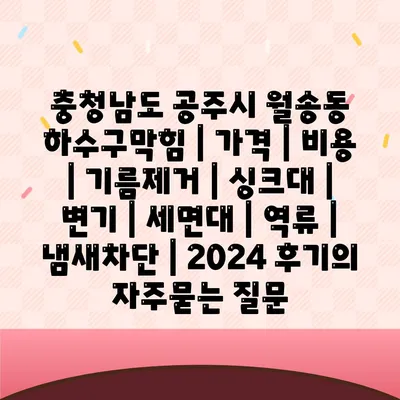 충청남도 공주시 월송동 하수구막힘 | 가격 | 비용 | 기름제거 | 싱크대 | 변기 | 세면대 | 역류 | 냄새차단 | 2024 후기