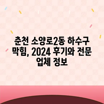 강원도 춘천시 소양로2동 하수구막힘 | 가격 | 비용 | 기름제거 | 싱크대 | 변기 | 세면대 | 역류 | 냄새차단 | 2024 후기