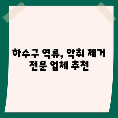 충청남도 논산시 은진면 하수구막힘 | 가격 | 비용 | 기름제거 | 싱크대 | 변기 | 세면대 | 역류 | 냄새차단 | 2024 후기