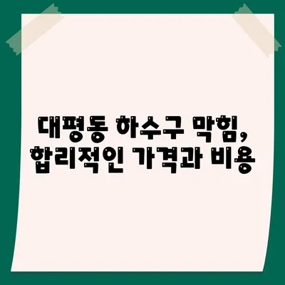 세종시 세종특별자치시 대평동 하수구막힘 | 가격 | 비용 | 기름제거 | 싱크대 | 변기 | 세면대 | 역류 | 냄새차단 | 2024 후기