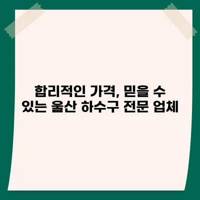 울산시 중구 병영2동 하수구막힘 | 가격 | 비용 | 기름제거 | 싱크대 | 변기 | 세면대 | 역류 | 냄새차단 | 2024 후기