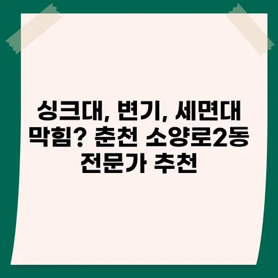 강원도 춘천시 소양로2동 하수구막힘 | 가격 | 비용 | 기름제거 | 싱크대 | 변기 | 세면대 | 역류 | 냄새차단 | 2024 후기