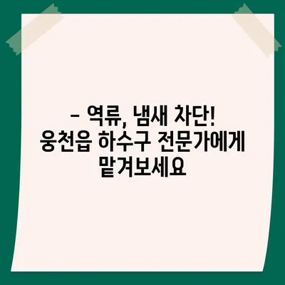 충청남도 보령시 웅천읍 하수구막힘 | 가격 | 비용 | 기름제거 | 싱크대 | 변기 | 세면대 | 역류 | 냄새차단 | 2024 후기