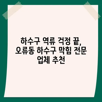 대전시 중구 오류동 하수구막힘 | 가격 | 비용 | 기름제거 | 싱크대 | 변기 | 세면대 | 역류 | 냄새차단 | 2024 후기