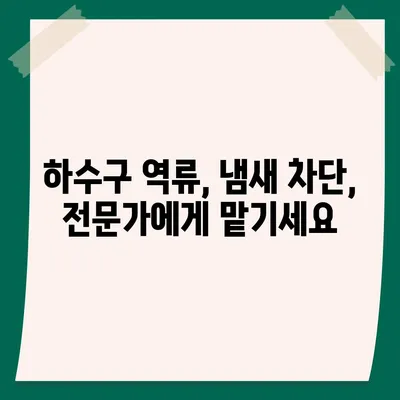 울산시 북구 양정동 하수구막힘 | 가격 | 비용 | 기름제거 | 싱크대 | 변기 | 세면대 | 역류 | 냄새차단 | 2024 후기