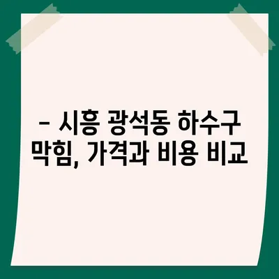 경기도 시흥시 광석동 하수구막힘 | 가격 | 비용 | 기름제거 | 싱크대 | 변기 | 세면대 | 역류 | 냄새차단 | 2024 후기