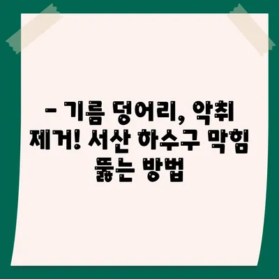 충청남도 서산시 음암면 하수구막힘 | 가격 | 비용 | 기름제거 | 싱크대 | 변기 | 세면대 | 역류 | 냄새차단 | 2024 후기