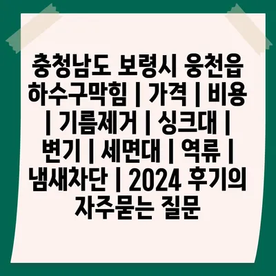 충청남도 보령시 웅천읍 하수구막힘 | 가격 | 비용 | 기름제거 | 싱크대 | 변기 | 세면대 | 역류 | 냄새차단 | 2024 후기