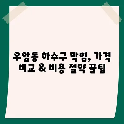 충청북도 청주시 청원구 우암동 하수구막힘 | 가격 | 비용 | 기름제거 | 싱크대 | 변기 | 세면대 | 역류 | 냄새차단 | 2024 후기