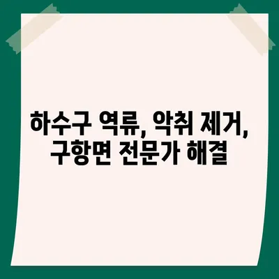 충청남도 홍성군 구항면 하수구막힘 | 가격 | 비용 | 기름제거 | 싱크대 | 변기 | 세면대 | 역류 | 냄새차단 | 2024 후기