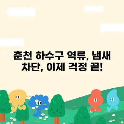 강원도 춘천시 소양로2동 하수구막힘 | 가격 | 비용 | 기름제거 | 싱크대 | 변기 | 세면대 | 역류 | 냄새차단 | 2024 후기