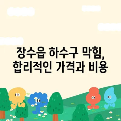 전라북도 장수군 장수읍 하수구막힘 | 가격 | 비용 | 기름제거 | 싱크대 | 변기 | 세면대 | 역류 | 냄새차단 | 2024 후기