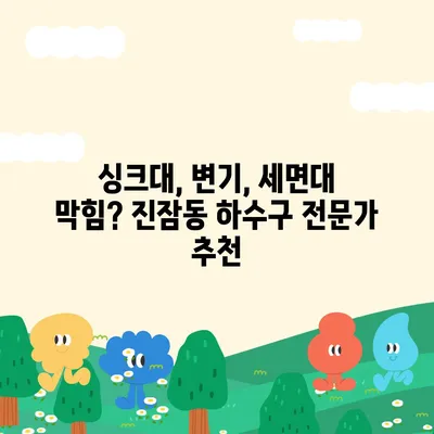 대전시 유성구 진잠동 하수구막힘 | 가격 | 비용 | 기름제거 | 싱크대 | 변기 | 세면대 | 역류 | 냄새차단 | 2024 후기