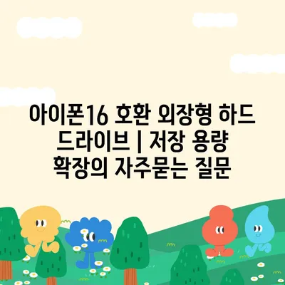 아이폰16 호환 외장형 하드 드라이브 | 저장 용량 확장