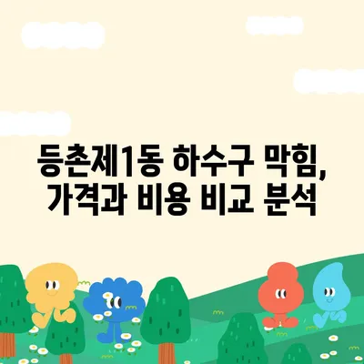 서울시 강서구 등촌제1동 하수구막힘 | 가격 | 비용 | 기름제거 | 싱크대 | 변기 | 세면대 | 역류 | 냄새차단 | 2024 후기