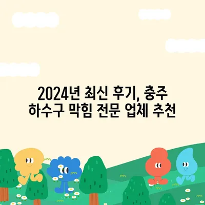 충청북도 충주시 금가면 하수구막힘 | 가격 | 비용 | 기름제거 | 싱크대 | 변기 | 세면대 | 역류 | 냄새차단 | 2024 후기