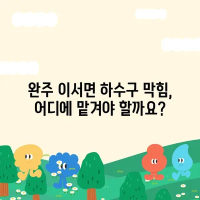 전라북도 완주군 이서면 하수구막힘 | 가격 | 비용 | 기름제거 | 싱크대 | 변기 | 세면대 | 역류 | 냄새차단 | 2024 후기