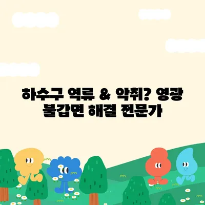 전라남도 영광군 불갑면 하수구막힘 | 가격 | 비용 | 기름제거 | 싱크대 | 변기 | 세면대 | 역류 | 냄새차단 | 2024 후기