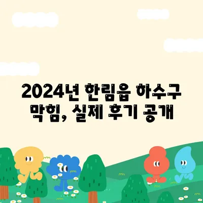 제주도 제주시 한림읍 하수구막힘 | 가격 | 비용 | 기름제거 | 싱크대 | 변기 | 세면대 | 역류 | 냄새차단 | 2024 후기