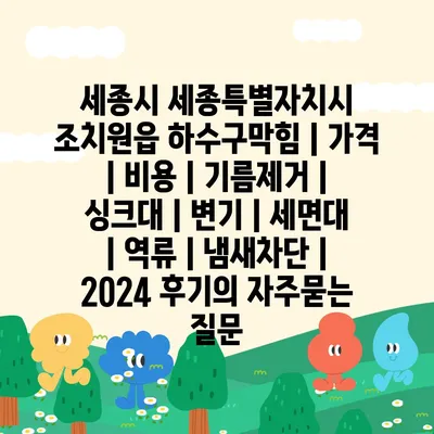 세종시 세종특별자치시 조치원읍 하수구막힘 | 가격 | 비용 | 기름제거 | 싱크대 | 변기 | 세면대 | 역류 | 냄새차단 | 2024 후기