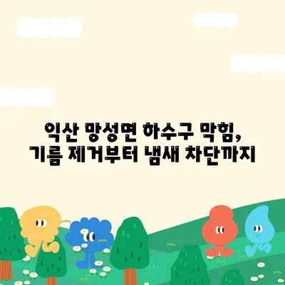 전라북도 익산시 망성면 하수구막힘 | 가격 | 비용 | 기름제거 | 싱크대 | 변기 | 세면대 | 역류 | 냄새차단 | 2024 후기