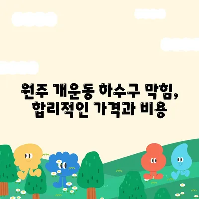 강원도 원주시 개운동 하수구막힘 | 가격 | 비용 | 기름제거 | 싱크대 | 변기 | 세면대 | 역류 | 냄새차단 | 2024 후기