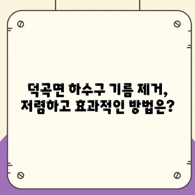 경상남도 합천군 덕곡면 하수구막힘 | 가격 | 비용 | 기름제거 | 싱크대 | 변기 | 세면대 | 역류 | 냄새차단 | 2024 후기